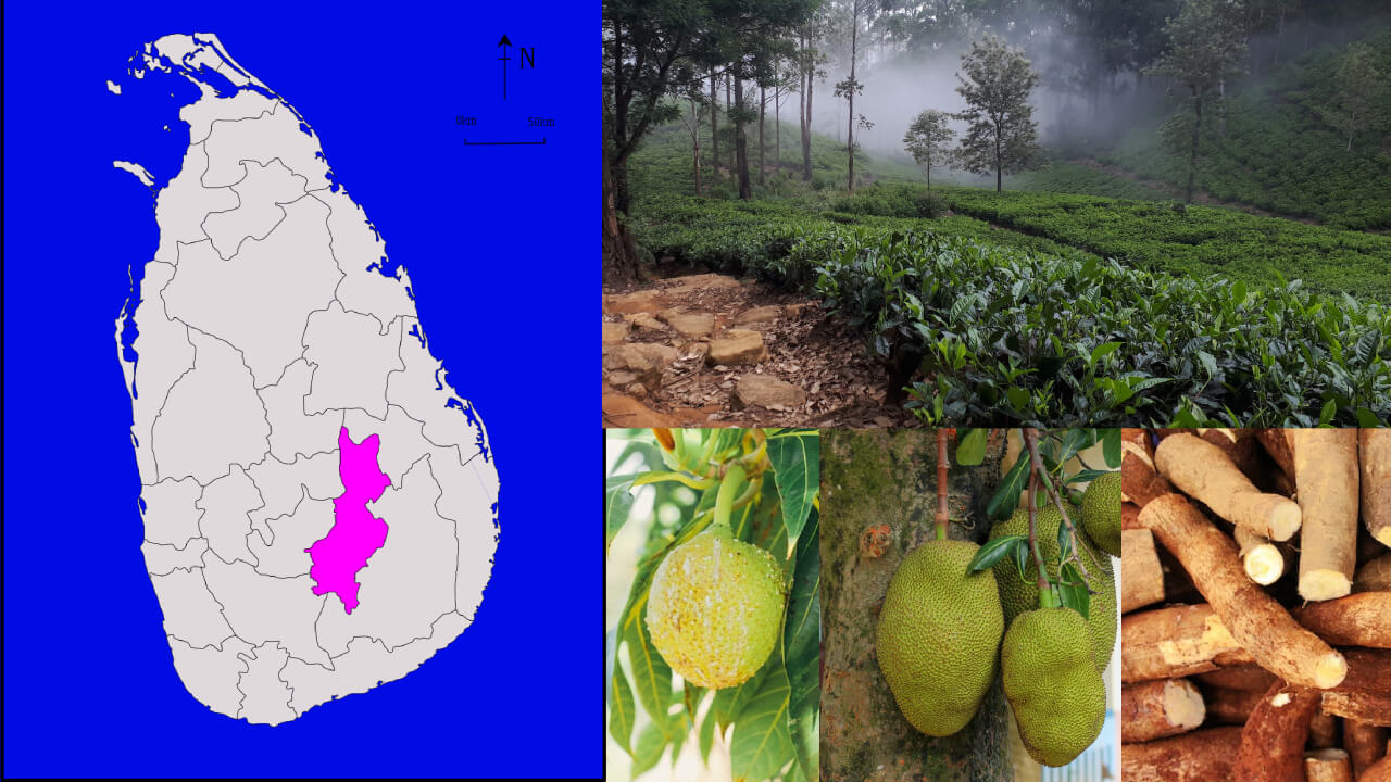 The Badulla district in Sri Lanka is an agricultural district where tea and various vegetables and fruits are cultivated, among which are breadfruit, jackfruit and cassava manioc © Wikipedia public domain, Unsplash sh-saw-myint, Pexels daniel-dan, studio-kealaula