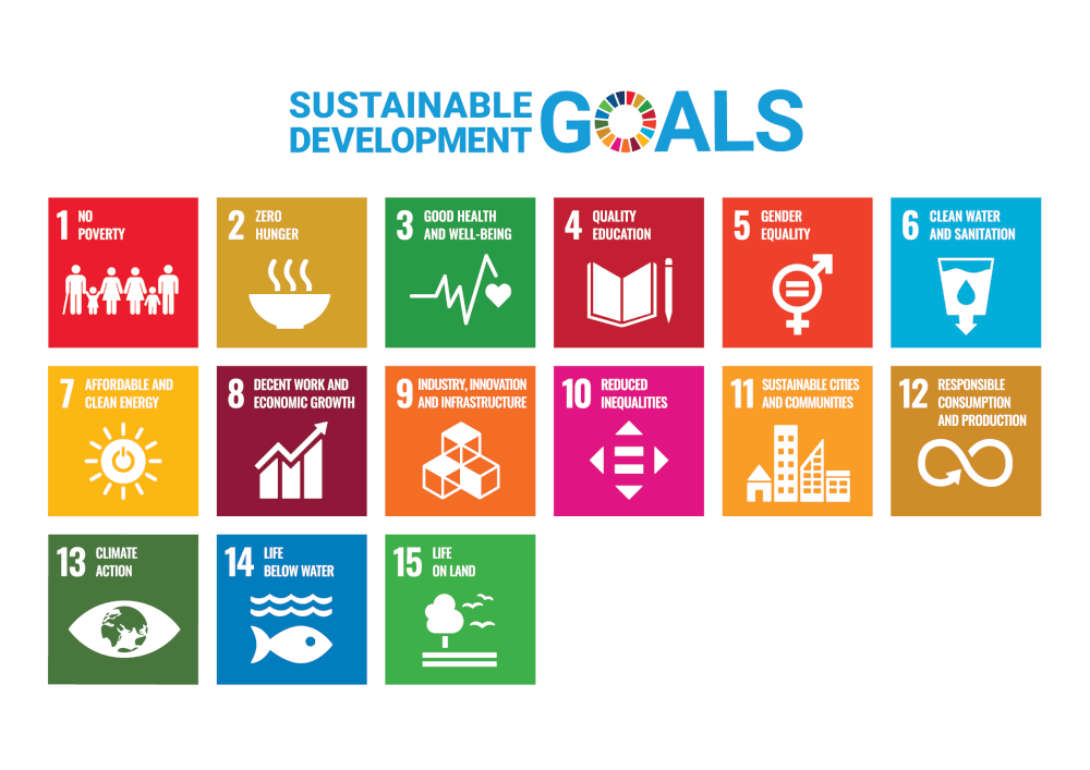 Les 15 objectifs de développement durable pour lesquels Renaissance Sri Lanka travaille